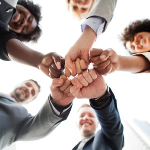 Certified Master of Adaptive Leadership