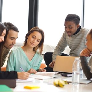 Social Emotional Learning Mastery for Executives s